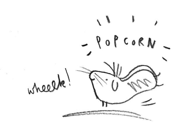 F8EE498C-DB39-413D-8A09-F1EFDB2313C5