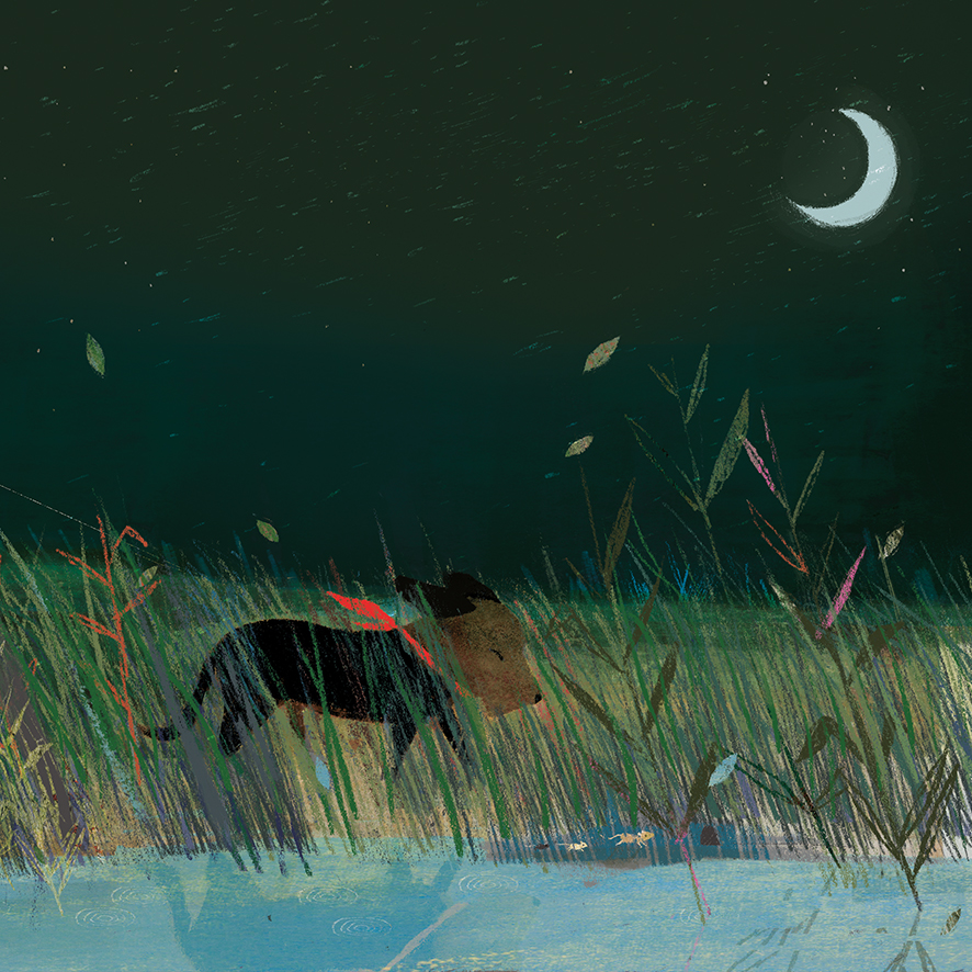 E60B087D-E6FA-40ED-8F42-D1C7020E7788