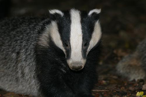 DFA7D192-F0F7-4AAB-B81A-8D8539DD95AF