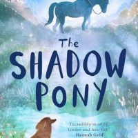 The Shadow Pony by Olivia Wakeford